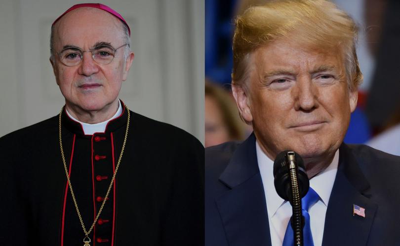 ViganoTrump 810 500 75 s c1